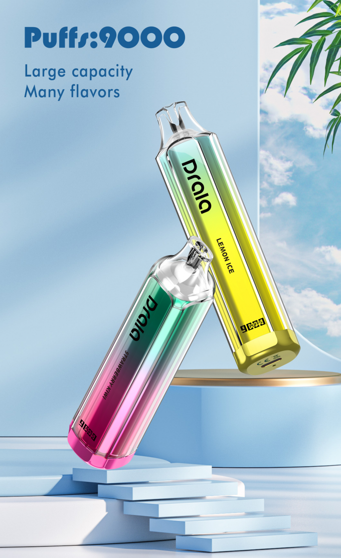 Do dispositivo descartável E da vagem de Vape de 9000 sopros cigarro Flavored recarregável 1